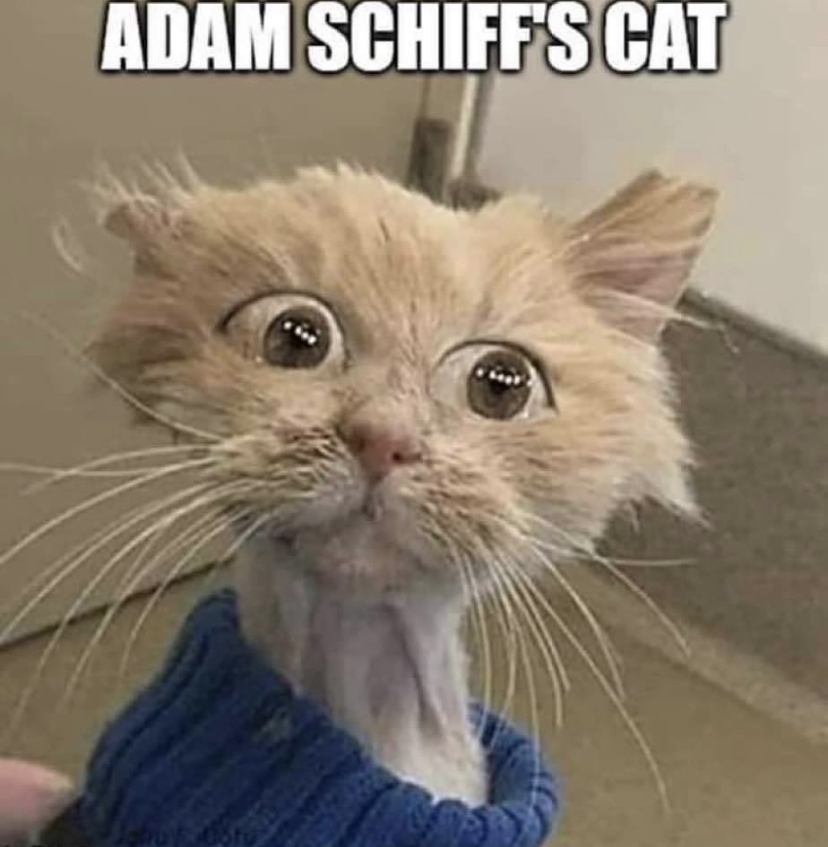 Adam Schiff Eye Condition